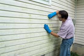 Best Siding Painting and Refinishing  in Laramie, WY